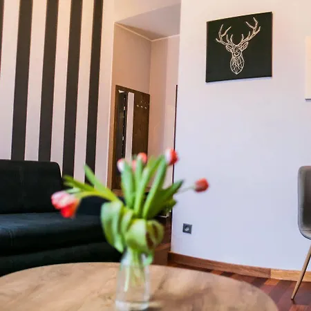 Boogie Appartement *